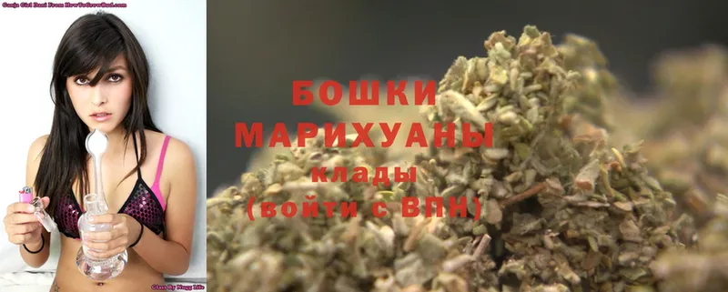 Шишки марихуана Amnesia  Верхний Уфалей 